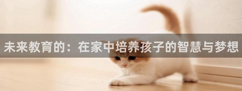 玛雅集团天顺娱乐怎么:未来教育的:在家中培养孩子的智慧与梦想