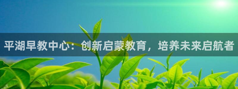 天顺娱乐受怎秦奋83334j:平湖早教中心:创新启蒙教育,培养未来启航者