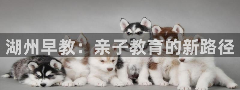 天顺娱乐驳:湖州早教:亲子教育的新路径