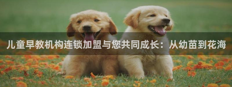 天顺娱乐谛943994:儿童早教机构连锁加盟与您共同成长:从幼苗到花海