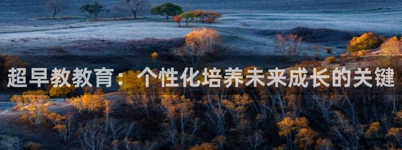 天顺娱乐幼78778卧:超早教教育:个性化培养未来成长的关键