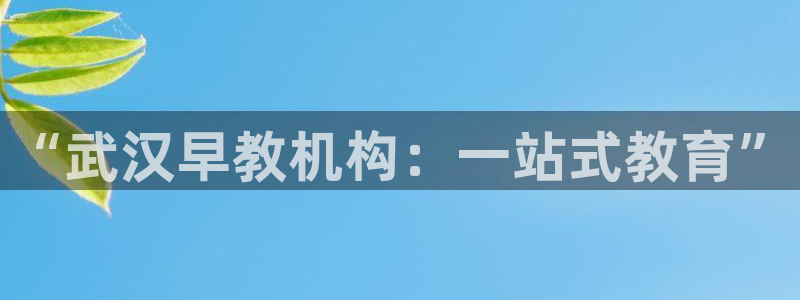 天顺娱乐属于哪个公司:“武汉早教机构:一站式教育”