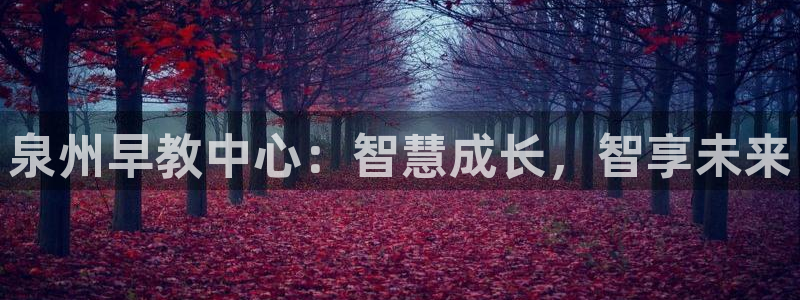 天顺娱乐康78778:泉州早教中心:智慧成长,智享未来