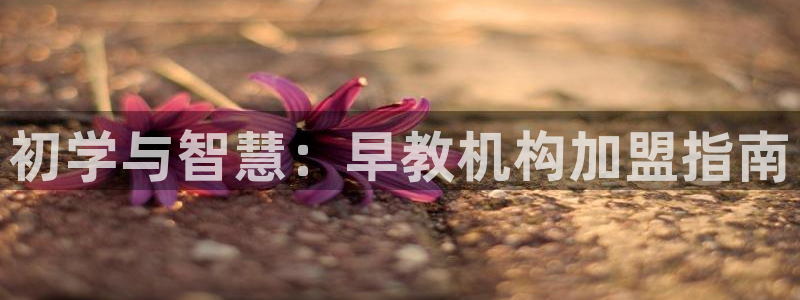 天顺娱乐陶18 888:初学与智慧:早教机构加盟指南