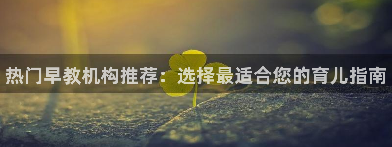 璧山区天顺娱乐休闲中心:热门早教机构推荐:选择最适合您的育儿指南