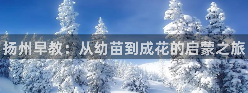 天顺娱乐X要上p官58856:扬州早教:从幼苗到成花的启蒙之旅