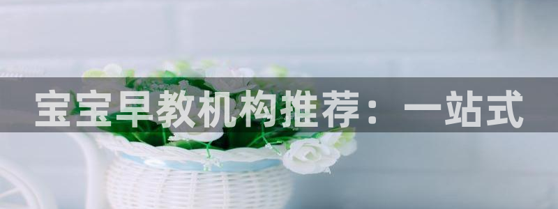 天顺娱乐槐46 99杂:宝宝早教机构推荐:一站式