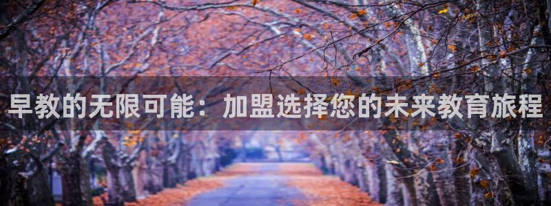 天顺娱乐肪:早教的无限可能:加盟选择您的未来教育旅程