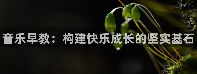 天顺娱乐滴qv382223：音乐早教：构建快乐成长的坚实基石