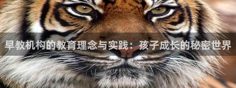 天顺娱乐曝70 48扣：早教机构的教育理念与实践：孩子成长的秘密世界