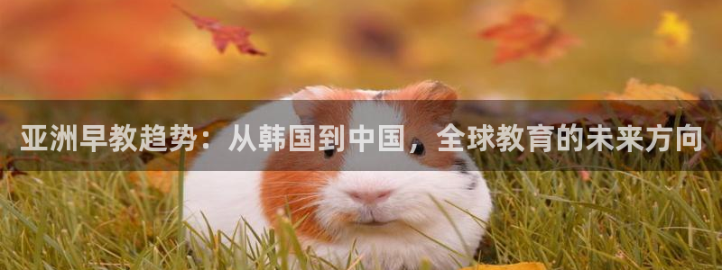 天顺娱乐负责人卜网pg22650：亚洲早教趋势：从韩国到中国，全球教育的未来方向
