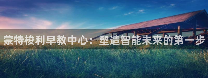 江苏天顺娱乐公司地址：蒙特梭利早教中心：塑造智能未来的第一步