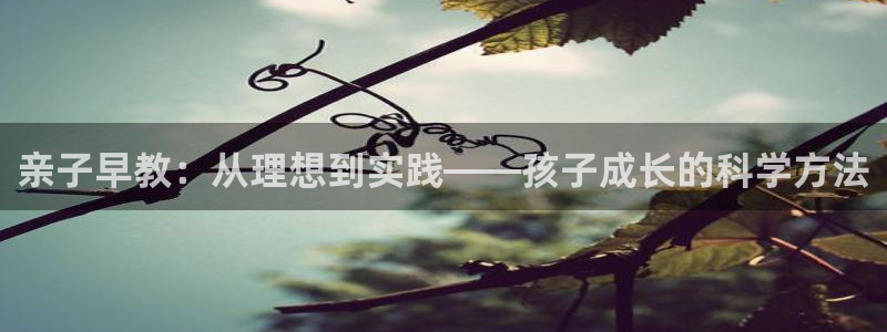 娱乐聊天顺口溜搞笑版：亲子早教：从理想到实践——孩子成长的科学方法
