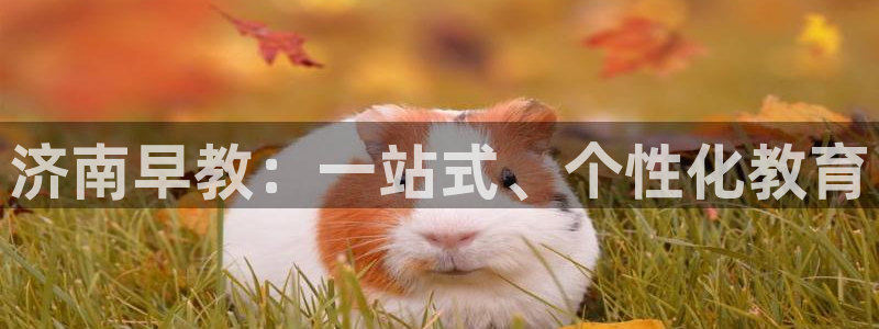 天顺娱乐vt金丿手丿指nj：济南早教：一站式、个性化教育