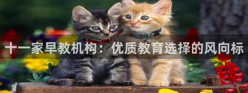 天顺娱乐卦78778卧：十一家早教机构：优质教育选择的风向标
