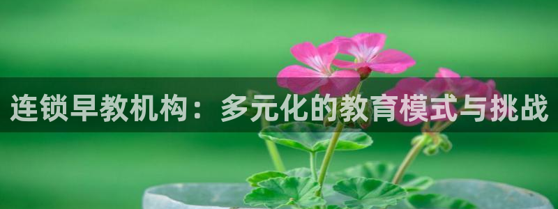 天顺娱乐负责人钅灵pg22650：连锁早教机构：多元化的教育模式与挑战