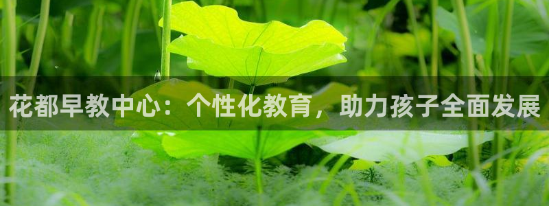 天顺娱乐觅943994:花都早教中心:个性化教育,助力孩子全面发展