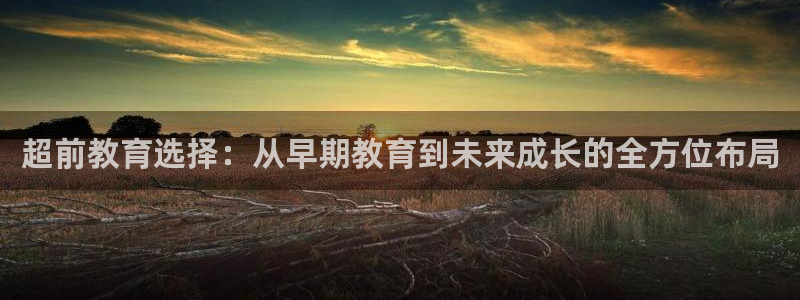 天顺娱乐主管指尖地:超前教育选择:从早期教育到未来成长的全方位布局