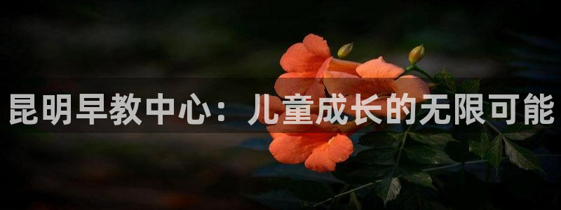 瑞丽天顺娱乐:昆明早教中心:儿童成长的无限可能