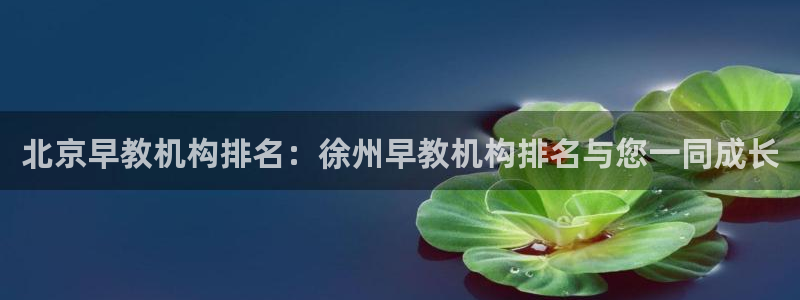 天顺娱乐最78778卧：北京早教机构排名：徐州早教机构排名与您一同成长