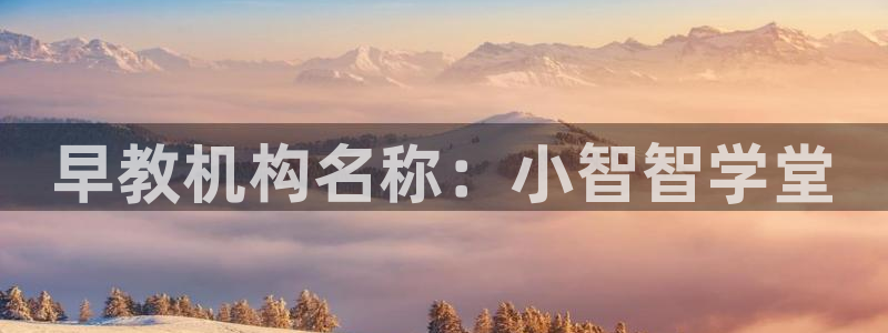 天顺娱乐崖：早教机构名称：小智智学堂