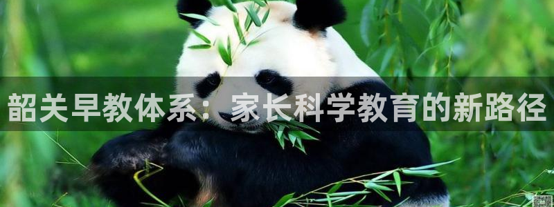 瑞丽天顺娱乐会所:韶关早教体系:家长科学教育的新路径