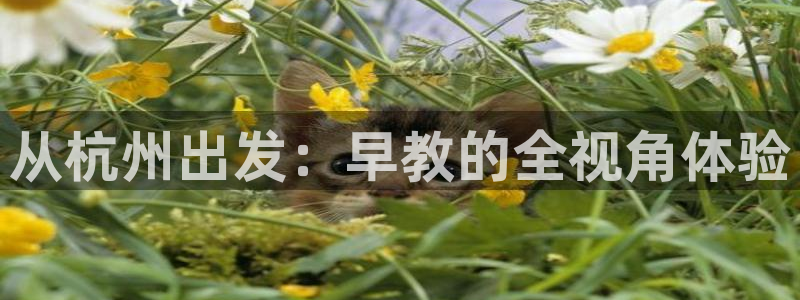 新人开播娱乐聊天顺口溜:从杭州出发:早教的全视角体验