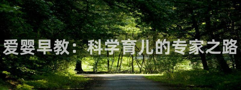 天顺娱乐可74OO5:爱婴早教:科学育儿的专家之路