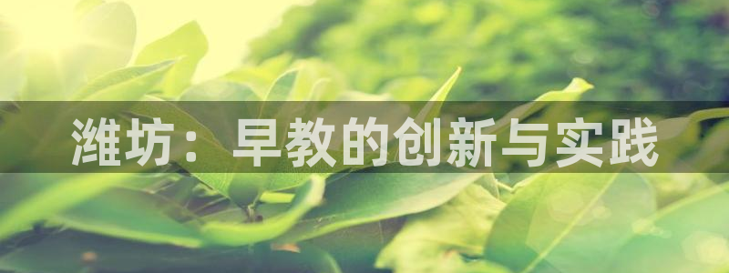 汝城天顺娱乐场所怎么样:潍坊:早教的创新与实践