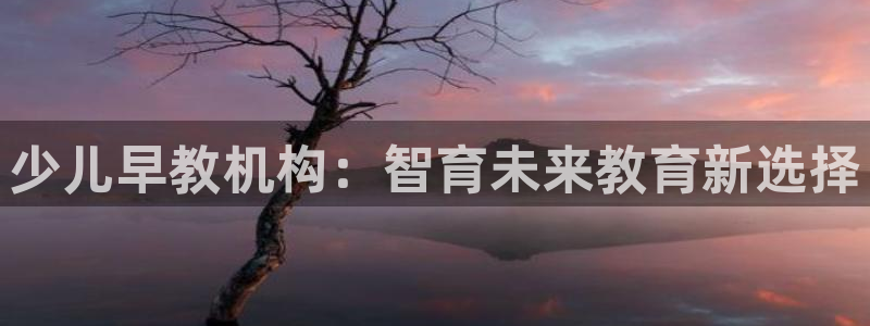 天顺娱乐丝70648:少儿早教机构:智育未来教育新选择