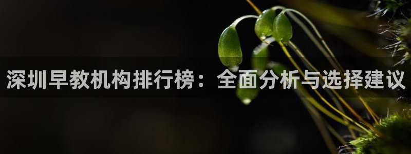 天顺娱乐韩74OOO5:深圳早教机构排行榜:全面分析与选择建议