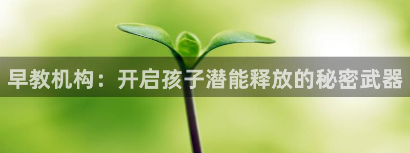 天顺娱乐招商主管：早教机构：开启孩子潜能释放的秘密武器