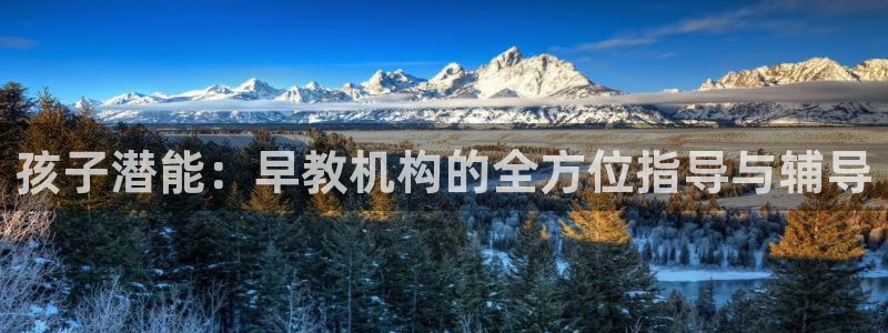 天顺娱乐主管下：孩子潜能：早教机构的全方位指导与辅导