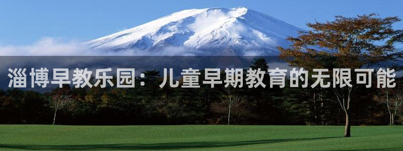 天顺娱乐期默55312：淄博早教乐园：儿童早期教育的无限可能