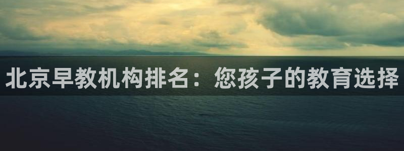 瑞丽天顺国际娱乐会所：北京早教机构排名：您孩子的教育选择