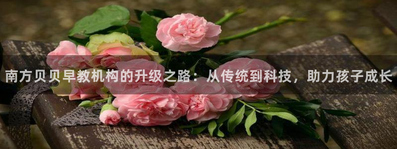 天顺娱乐负责人爫先p29999：南方贝贝早教机构的升级之路：从传统到科技，助力孩