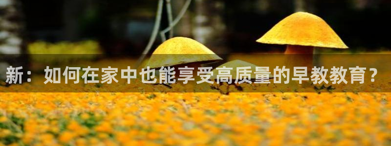 天顺娱乐13d判官333OO：新：如何在家中也能享受高质量的早教教育？