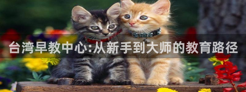 天顺娱乐负责人又潜pg29999：台湾早教中心:从新手到大师的教育路径