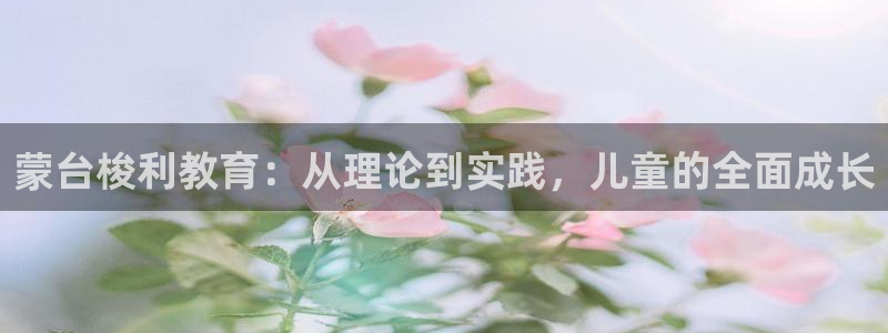 天顺娱乐列943994：蒙台梭利教育：从理论到实践，儿童的全面成长