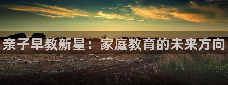 天顺娱乐主管年薪多少啊:亲子早教新星:家庭教育的未来方向