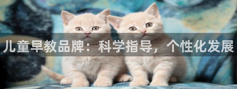 天顺娱乐主管都做什么的：儿童早教品牌：科学指导，个性化发展