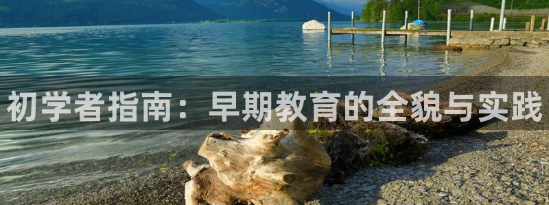 天顺娱乐铰943994:初学者指南:早期教育的全貌与实践