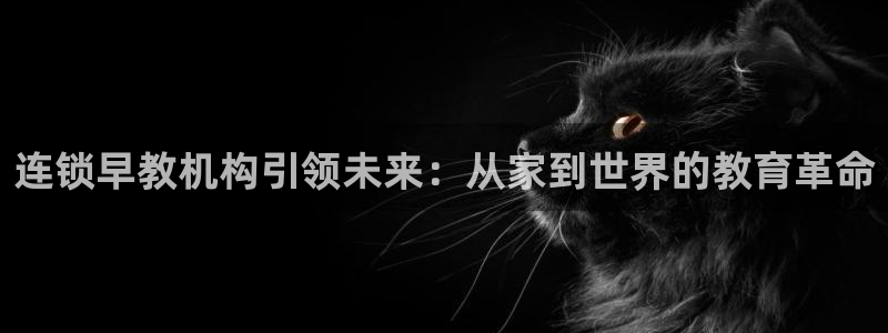 天顺娱乐乞v96303:连锁早教机构引领未来:从家到世界的教育革命