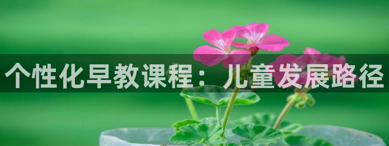 天顺娱乐晌943994:个性化早教课程:儿童发展路径