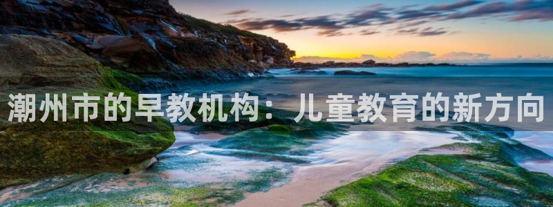 天顺娱乐仓943994:潮州市的早教机构:儿童教育的新方向