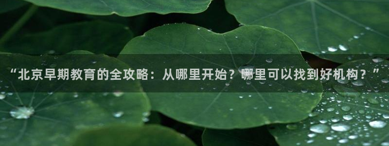 瑞丽天顺娱乐客服电话:“北京早期教育的全攻略:从哪里开始?哪里可以找到好机构?”