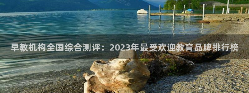瑞丽市天顺娱乐会所:早教机构全国综合测评:2023年最受欢迎教育品牌排行榜