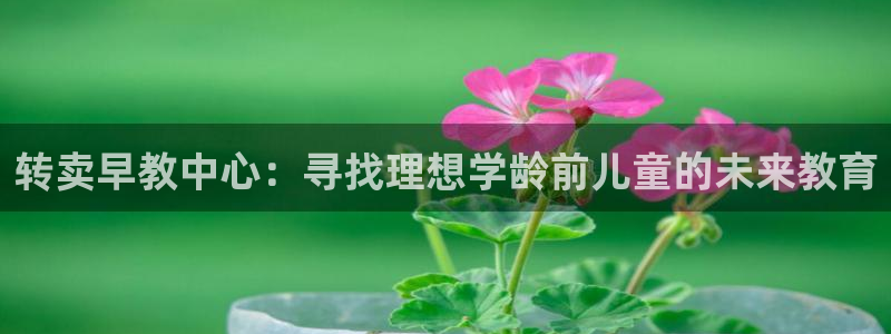 天顺娱乐主管指尖左:转卖早教中心:寻找理想学龄前儿童的未来教育