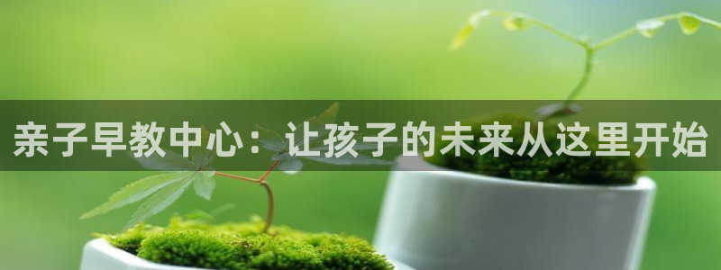 天顺娱乐宗如秦奋83334j：亲子早教中心：让孩子的未来从这里开始