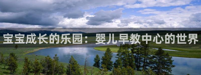 天顺娱乐督78778：宝宝成长的乐园：婴儿早教中心的世界